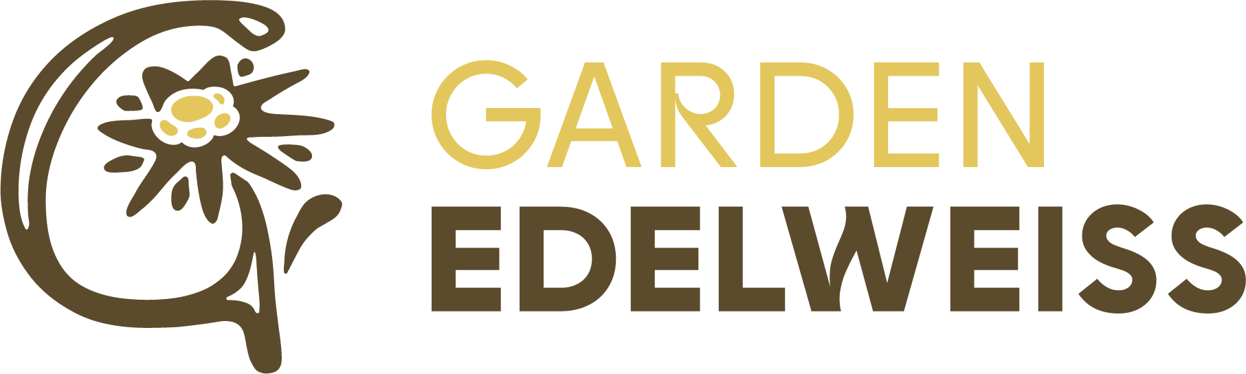 Garden Edelweiss