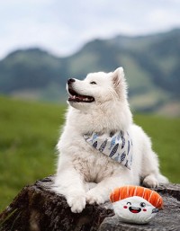 La Niche Créative - Artisan Vesti'Bulle #20